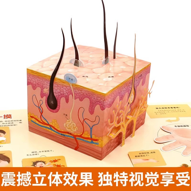 我们的身体3D立体书 [正版]我们的身体立体书儿童3d立体书8岁以上揭秘系列翻翻书2-3-4-6-10岁宝宝绘本书籍幼儿