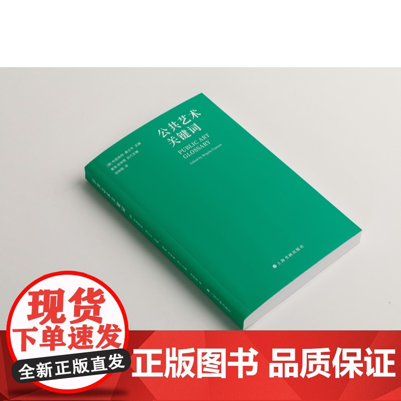 公共艺术关键词 布丽奇特弗兰岑主编姜俊张钟萄执行主编上海书画出版社理解公共艺术与城市文化重要读本艺术指南高清大图