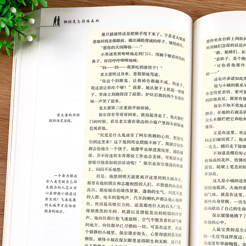 [八年级下-选读4本]平凡的世界+苏菲的世界+名人传+给青年的十二封信 [正版]经典常谈+钢铁是怎样练成的 八年级2册高清大图