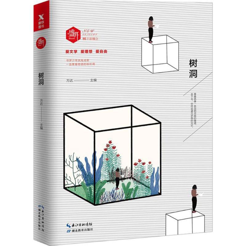 正版新书】盛开:树洞方达9787556416875