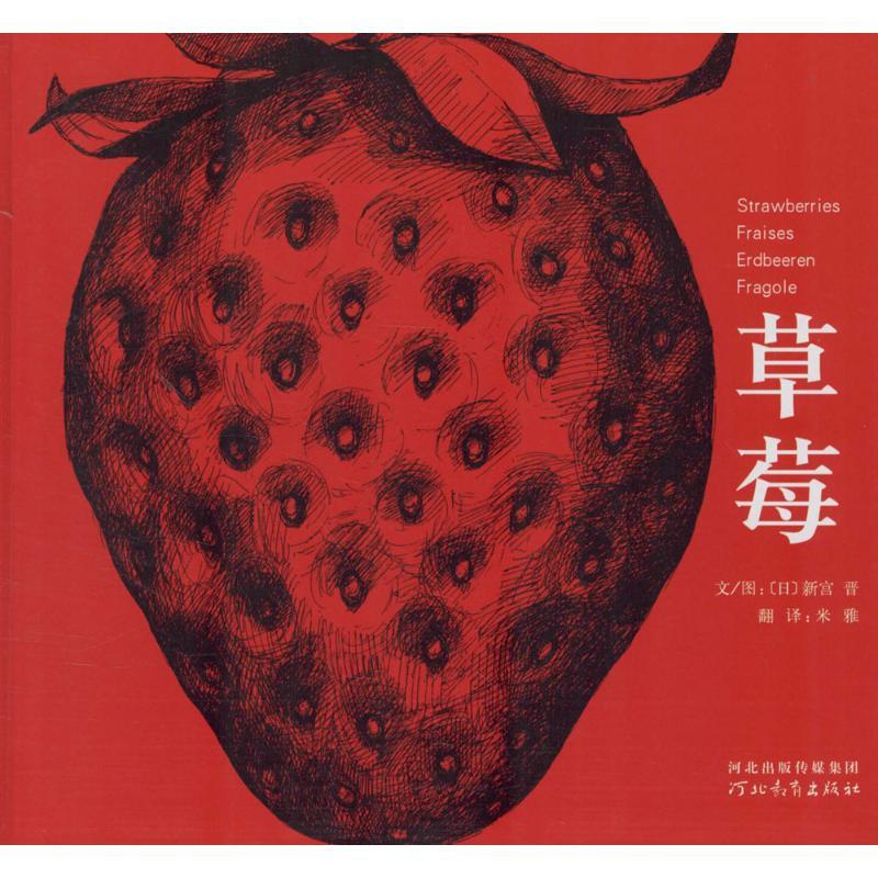 正版新书】草莓新宫晋9787543478831