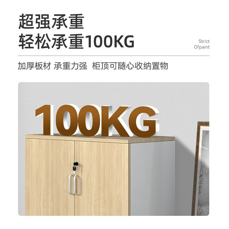 域赢木质二门储物柜文件柜带锁员工柜小柜子办公柜办公柜子矮柜800*400*800