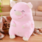 鸱吻福猪抱枕猪猪抱枕毛绒玩具男孩女孩玩具生肖生日礼物60cm 粉色 普通款