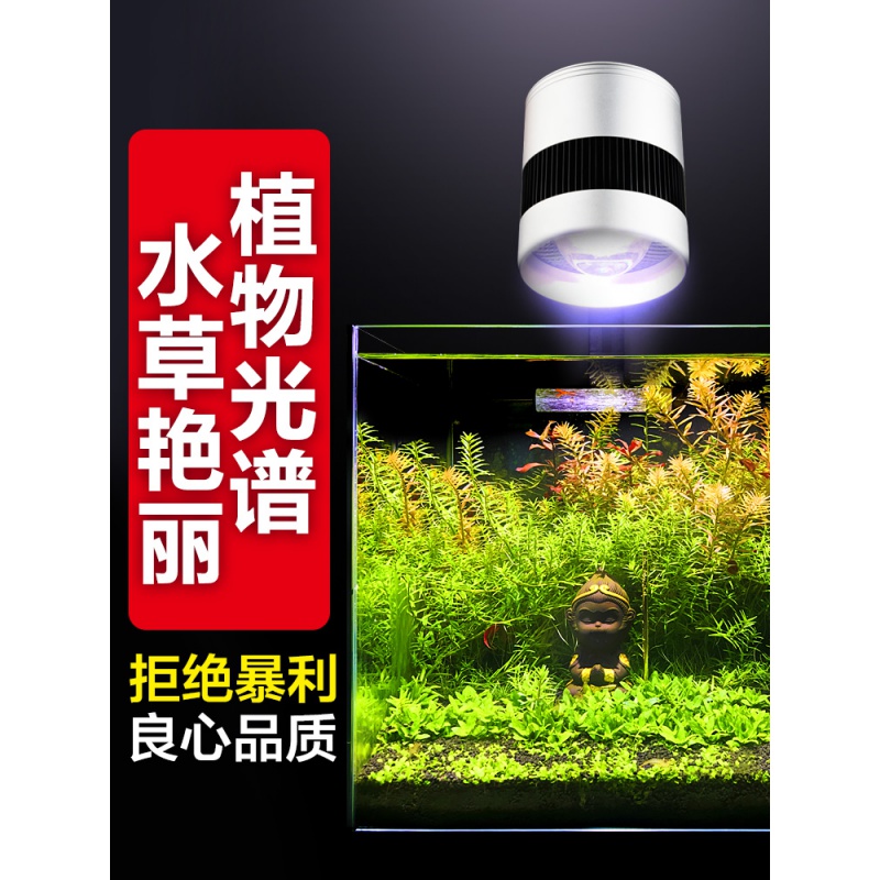 鱼缸水灯全光谱led照明防水堪比尼特利神灯专业缸灯高清大图