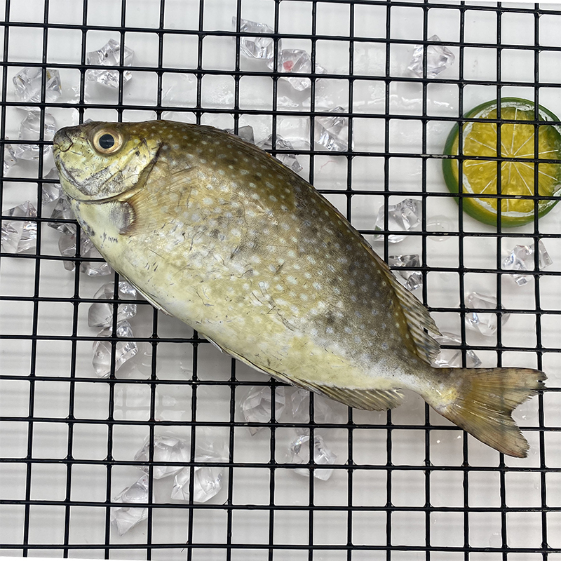 桂之海北部湾野生泥猛鱼400g*3包[4-5条/包]去鳞去腮去内脏海鱼