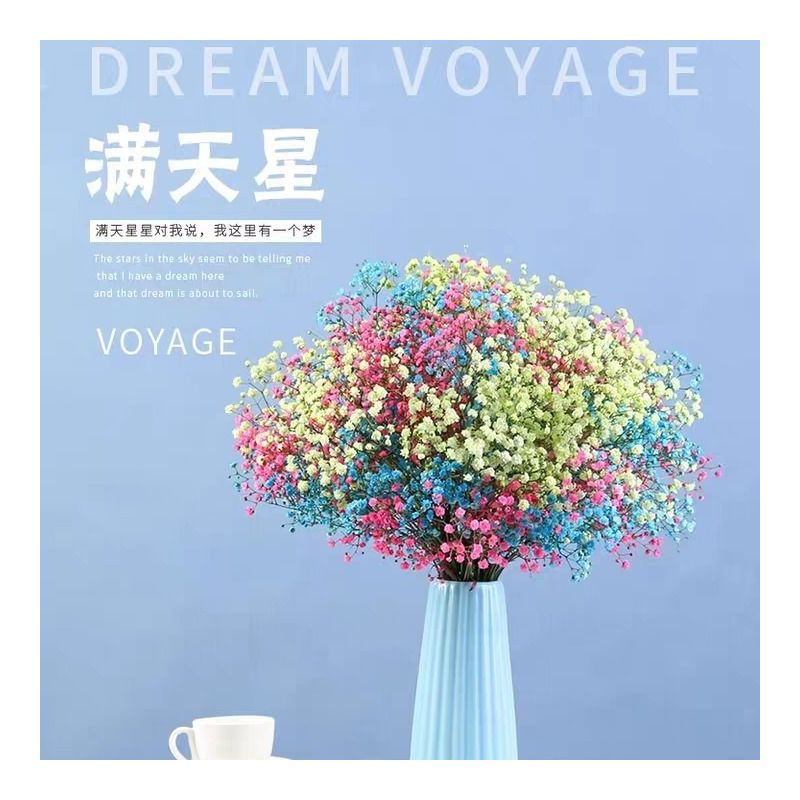 莱杉花瓶/花艺报价_参数_图片_视频_怎么样_问答-苏宁易购