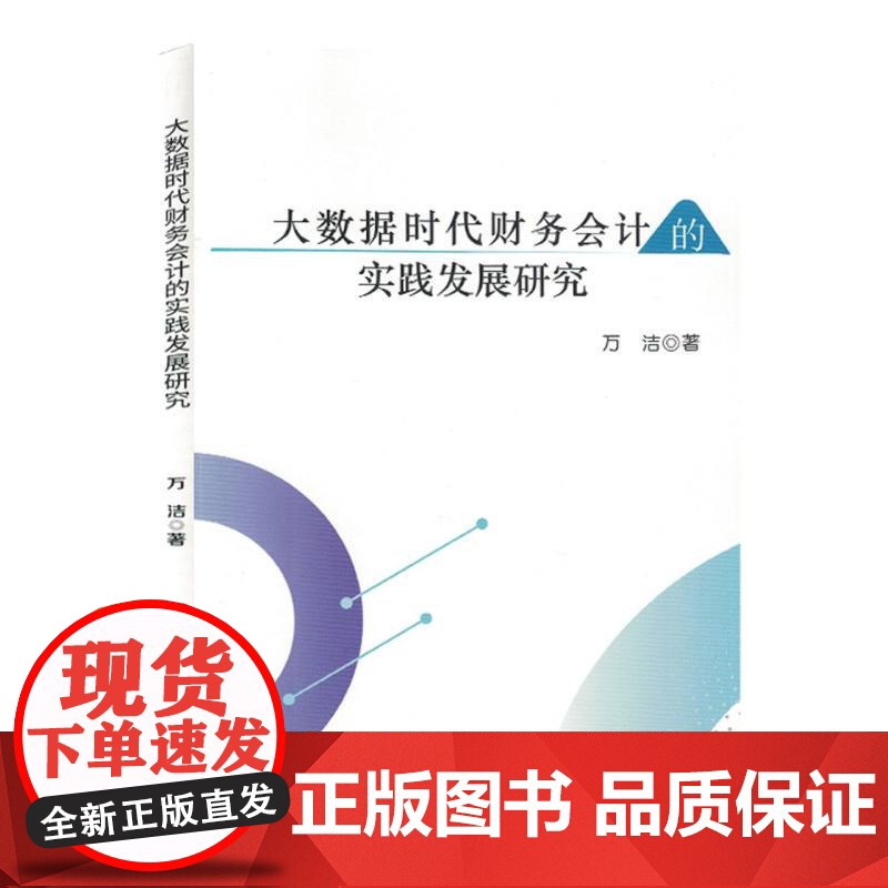 大数据时代财务会计的实践发展研究高清大图
