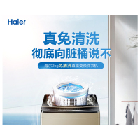 Haier/海尔 9kg智能免清洗全自动直驱变频波轮洗衣机EMB90BF169U1 洗脱一体机免清洗内桶