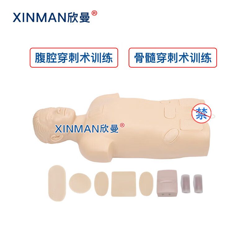 欣曼科教 腹腔与骨髓穿刺模拟人 医学教学人体模型XM-1022