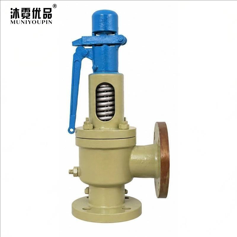 沐霓优品 安全阀 A48Y-25C DN25 个