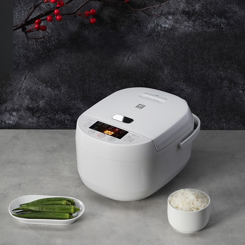 双立人 3L电饭煲 ZRC610渠道 3L