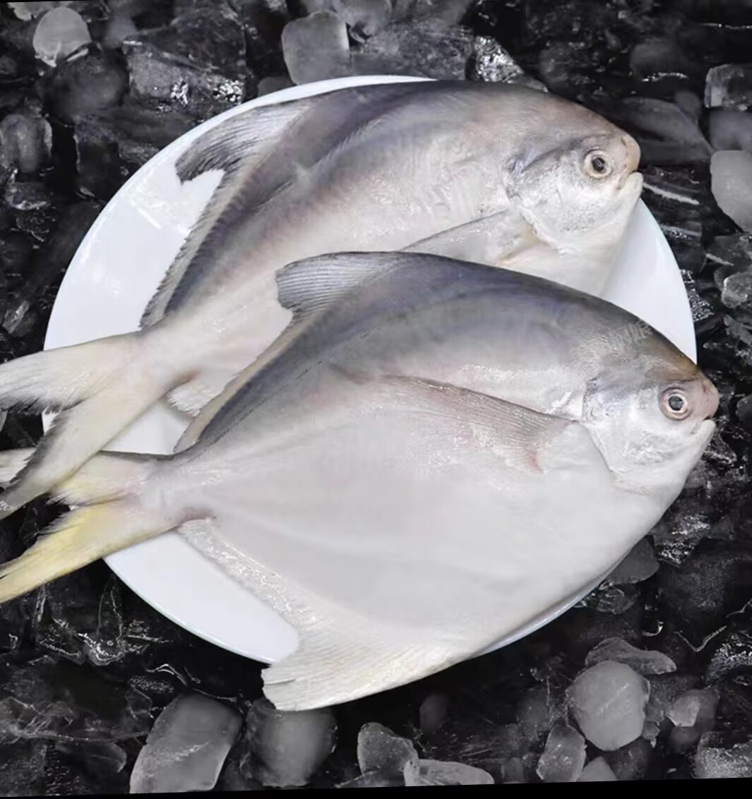 祈源鲳鱼礼盒2kg盒装高清大图