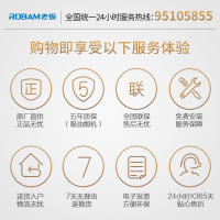 老板（ROBAM）17.5立方侧吸式按键式免拆洗油烟机CXW-200-21A6 1级能效吸油烟机