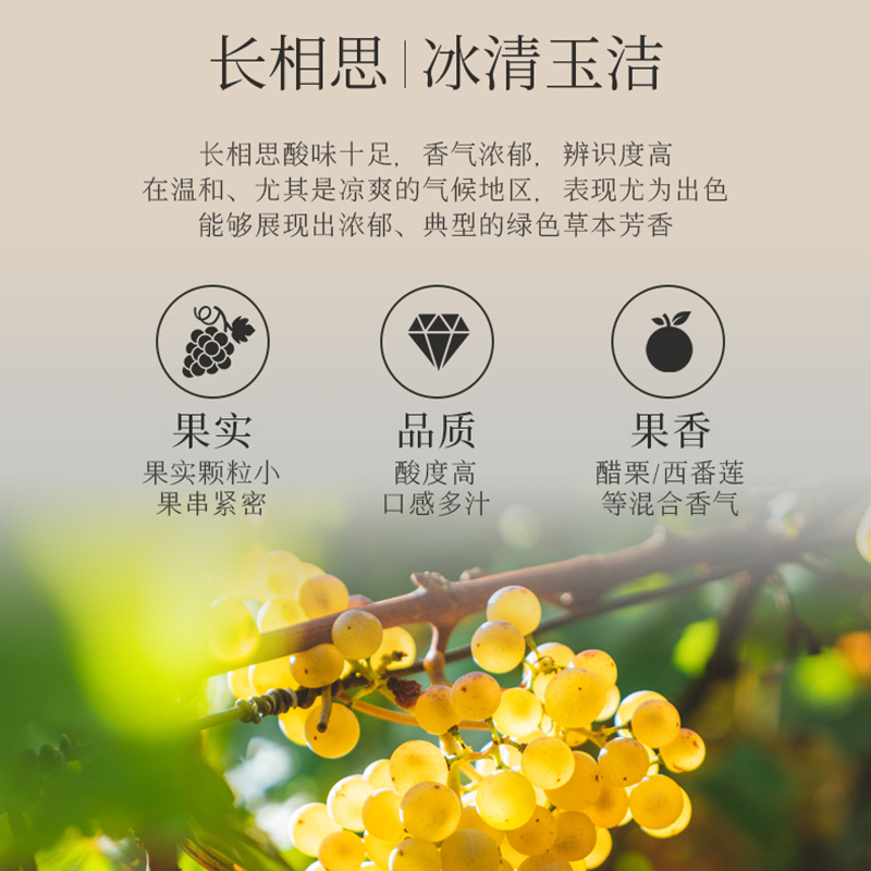 张裕官方先锋国际新西兰马尔堡凯利酒庄长相思干白葡萄酒原瓶原装进口白葡萄酒双支装750ml*2瓶高清大图