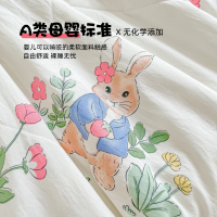 洁丽雅夏季夏凉被空调被可机洗儿童单人2023年新款大豆纤维被223