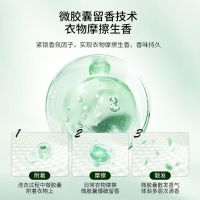 维妙香水植萃洗衣液4瓶(2KG)