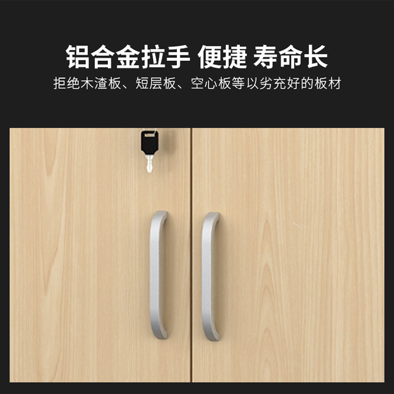 DXBG0.8米文件柜[工厂现做 7天内发货]