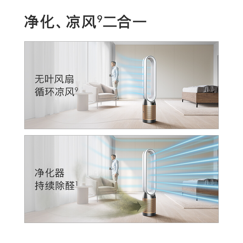 戴森(DYSON) 除菌除甲醛空气净化风扇 整屋循环净化 兼具空气净化器功能 TP09白金色高清大图