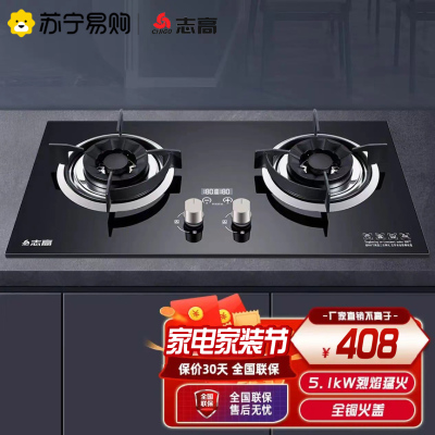 志高(CHIGO) H090C双灶眼燃气灶(液化气) 4.8大火力台式嵌入式家用 双灶定时燃气灶