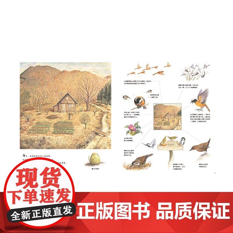 山居鸟日记高清大图