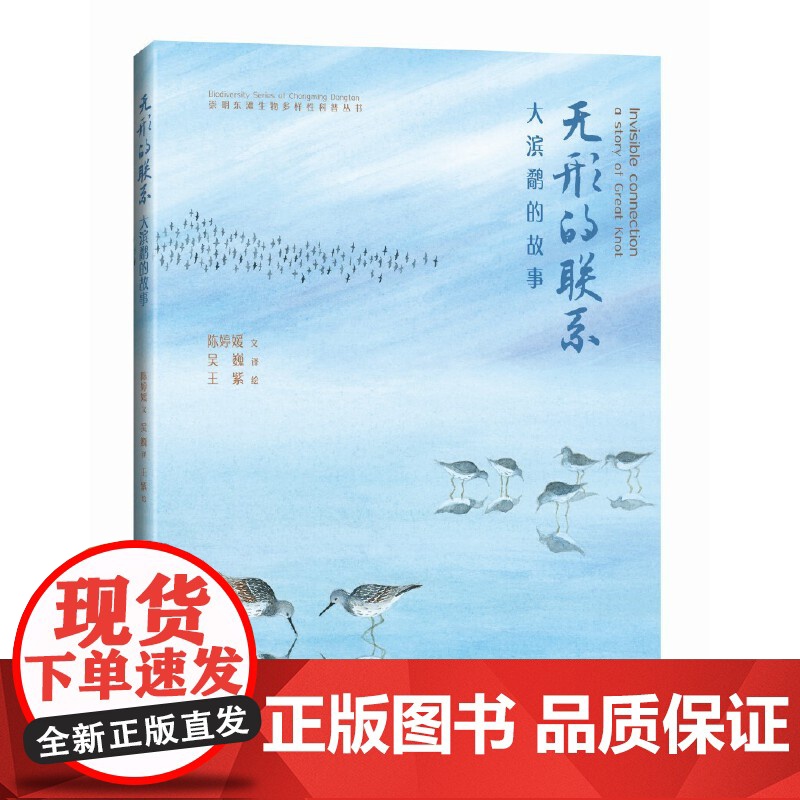 无形的联系大滨鹬的故事 崇明东滩生物多样性科普丛书 陈婷媛著 王紫绘 上海科学技术出版社高清大图