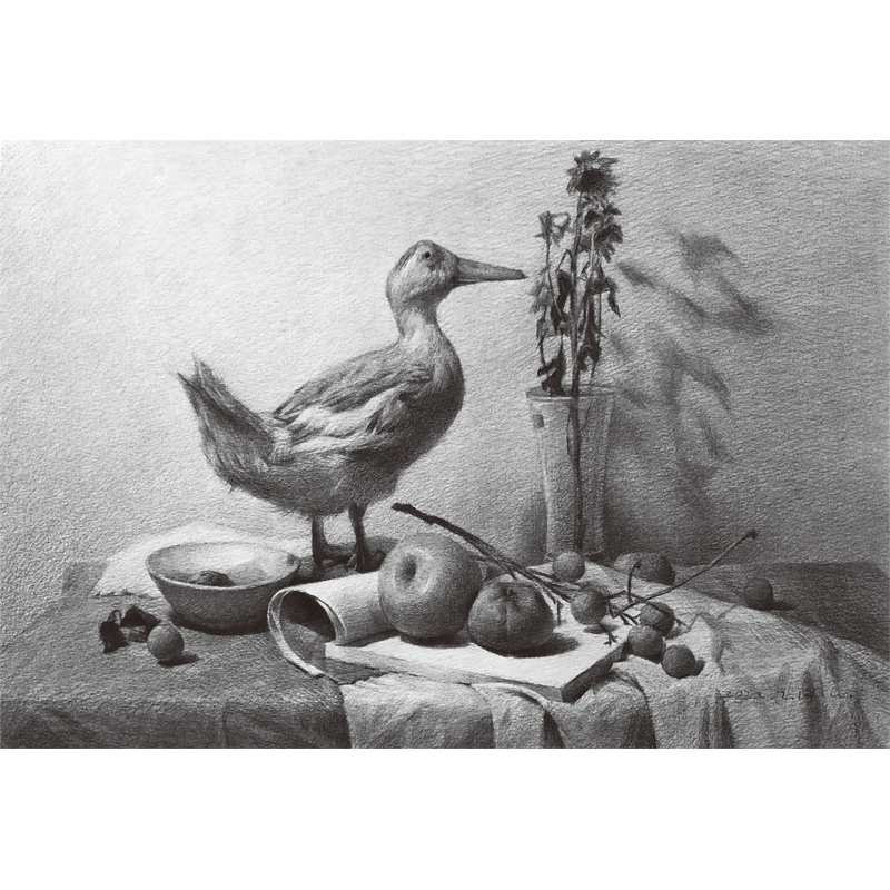 醉染图书素描轻松画:花果植物9787540155209高清大图