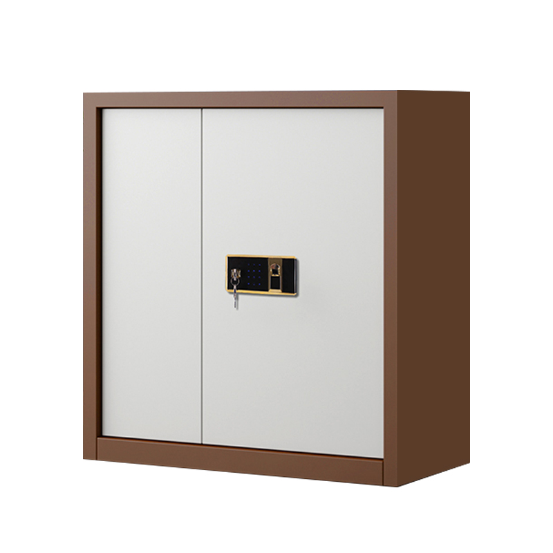 阿拉贡指纹电子保密柜钢制密码文件柜档案柜办公柜矮柜保密资料柜 单节咖白钥匙指纹高清大图