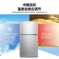 奥克斯（AUX）66升 家用小型双门冰箱 冷藏冷冻保鲜速冻 租房宿舍出租用 直冷 迷你小型 BCD-66A138L