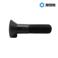 湘恒锐 沉头带榫螺栓 M20×55mm 个