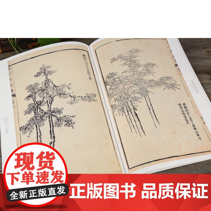 正版芥子园画谱康熙原版 画传 山水卷树谱 正版自学美术国画绘画范本临摹本树法叶法夹叶及著色钩藤法临摹技法 安徽美术出高清大图