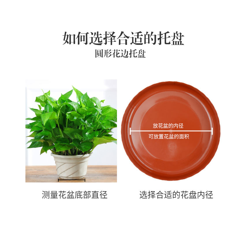 [补贴10%]2个/4个装花盆托盘塑料花盘加厚底盘垫底盘多肉圆形底托底座圆型底部高清大图