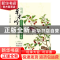 正版 古风意境涂色线描集:诗经?草木吟 蓝博艺站 中国铁道出版社