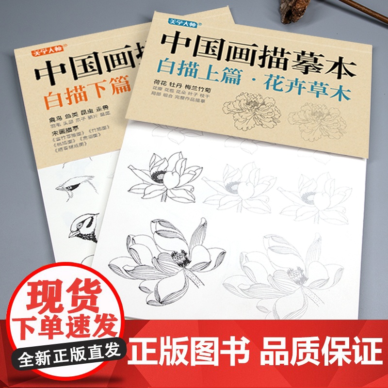 美学大师 中国画描摹本工笔画上下2册/基础训练篇+强化提高篇sh高清大图