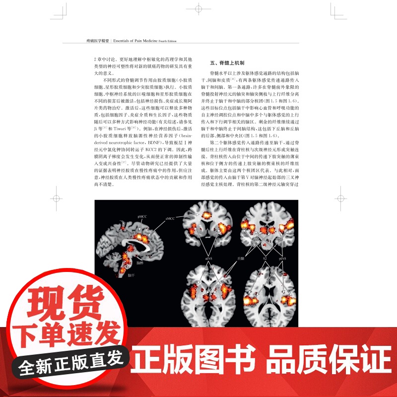 疼痛医学精要 疼痛科资料参考书慢性疼痛围手术期疼痛理论实践上海科学技术出版社临床医学外科学高清大图