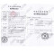 鱼跃Yuwell 血糖试纸条通用582\586\596型 血糖试纸+针头100组 酒精棉片 无机器