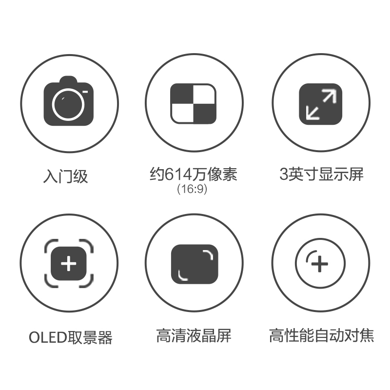 索尼(SONY) HXR-MC2500 肩扛式高清数码摄像机 约659万像素 3英寸屏