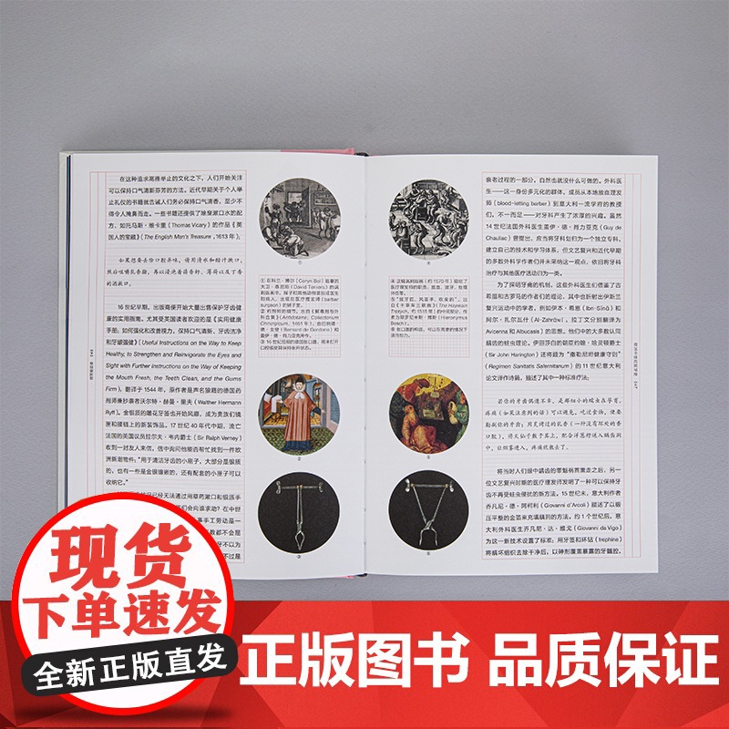 微笑偷盗者 难以启齿的牙科学艺术 病玫瑰系列第四册 藏在每个人嘴里的微观文明史 病玫瑰 理想国图书店高清大图