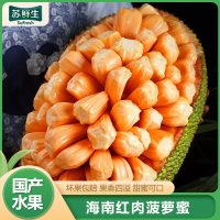 [西沛生鲜]海南红肉菠萝蜜 新鲜水果 香甜可口 1个 5-7斤装 苏鲜生水果1