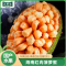 [西沛生鲜]海南红肉菠萝蜜 新鲜水果 香甜可口 1个 5-7斤装 苏鲜生水果1