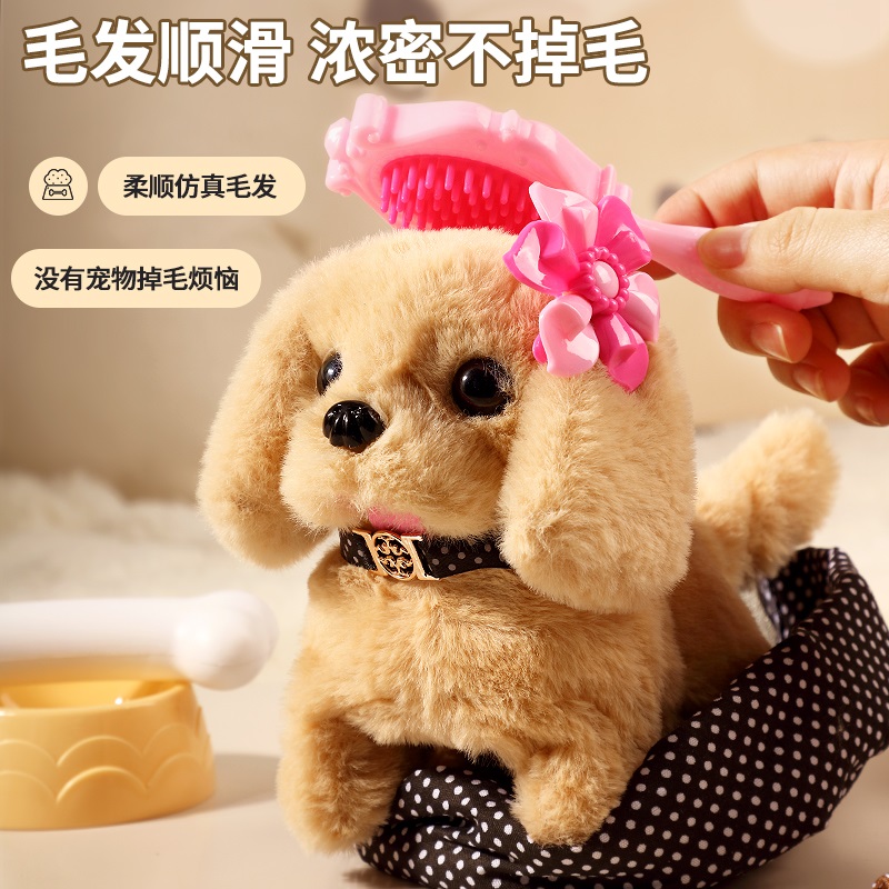 【拉杆手提收纳三合一】高清大图