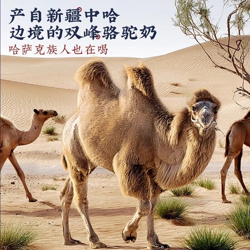 臻牧 百年驼世家配方驼粉400g/罐高清大图