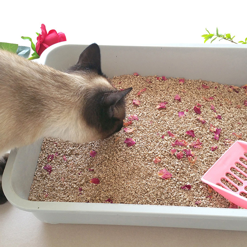 结团猫砂King Kitty苹果原木猫砂6L 玫瑰花味无尘除臭猫砂