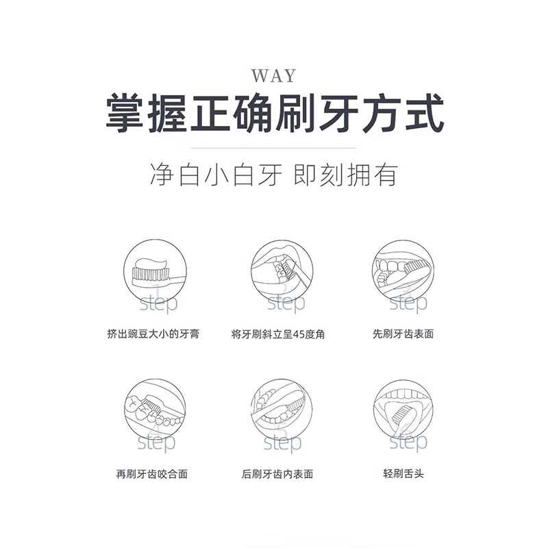 罗曼电动牙刷D30高清大图