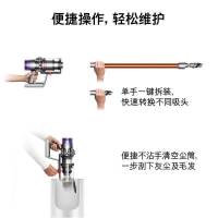 戴森(Dyson)无绳吸尘器V10Absolut 适用于大户型 强劲吸力 高效除螨 地毯地板双吸头 运行时间高达60分钟