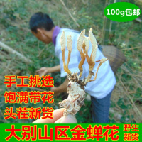 2018年新货大别山区 野生金蝉花 竹林蝉花土蝉花 金蝉花100克