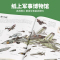 军事+太空+动物+植物+数学+海洋(6册) [正版]暑期阅读 中国儿童军事百科全书 植物太空武器军事百科全书类数学 dk