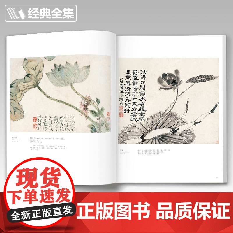2020新书 石涛画集 8开中国画临摹画册书籍技法教材花卉竹山水书sh高清大图