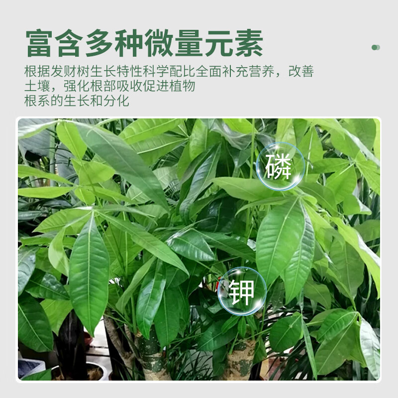 Zhongyzn 尚洋发财树专用植物营养液500mL花卉盆栽发黄掉叶水培绿植有机花肥料高清大图