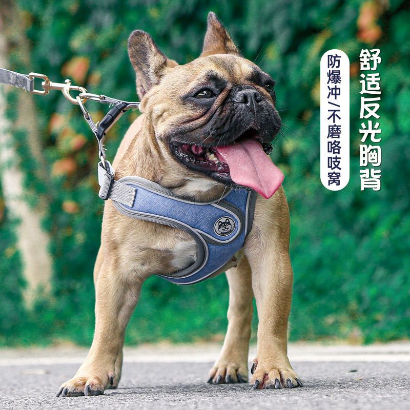 狗狗牵引绳背心式遛狗绳泰迪柯基法斗小型中型犬狗链子