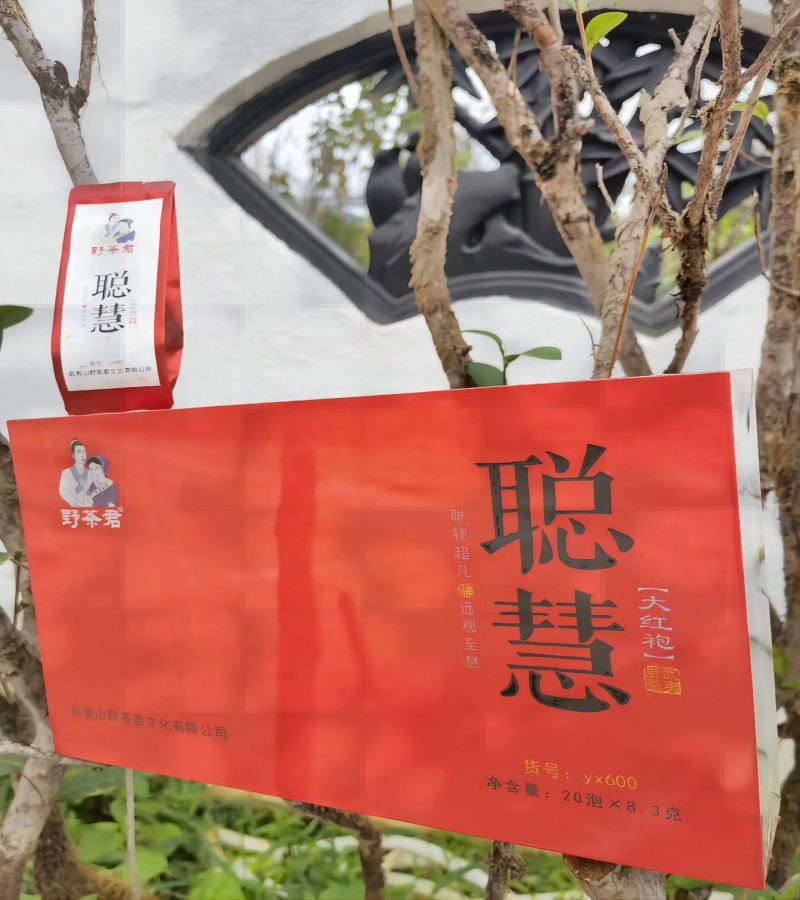 野茶君 茶叶 大红袍(聪慧)166g